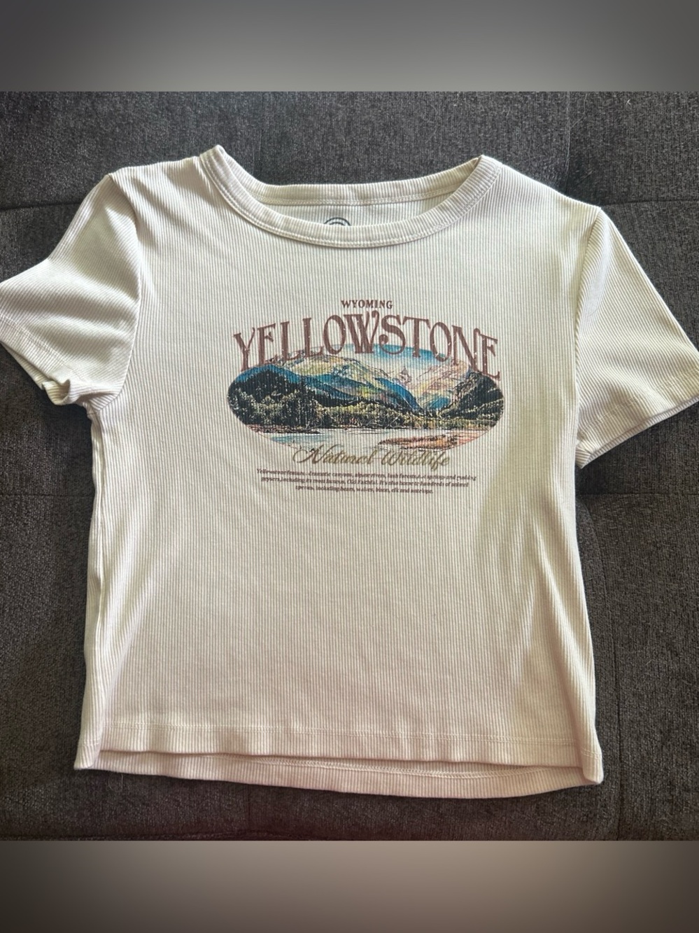 Yellowstone Graphic Short Sleeve Tee - Cream